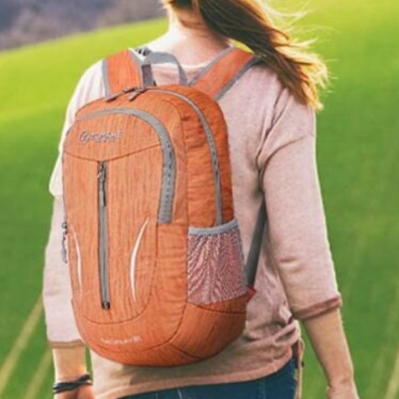 Backpack - Picture 1 of 5